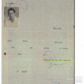 Karta personalna Abrama Szula, wystawiona w 1948 r. w obozie dla tzw. dipisów, na karcie adnotacją o numerze wytatuowanym na przedramieniu (83436). Numery były tatuowane więźniom KL Auschwitz