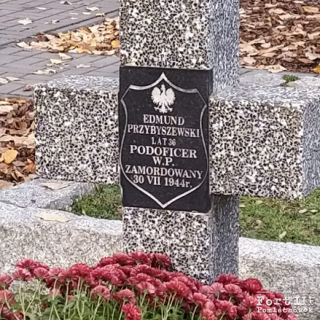 Grób symboliczny Edmunda Przybyszewskiego na cmentarzu w Ciechanowie